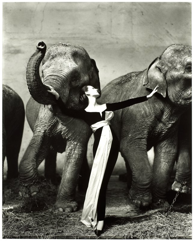 Dovima with Elephants, Evening Dress by Dior, Cirque d'Hiver, Paris, Richard Avedon, August 1955