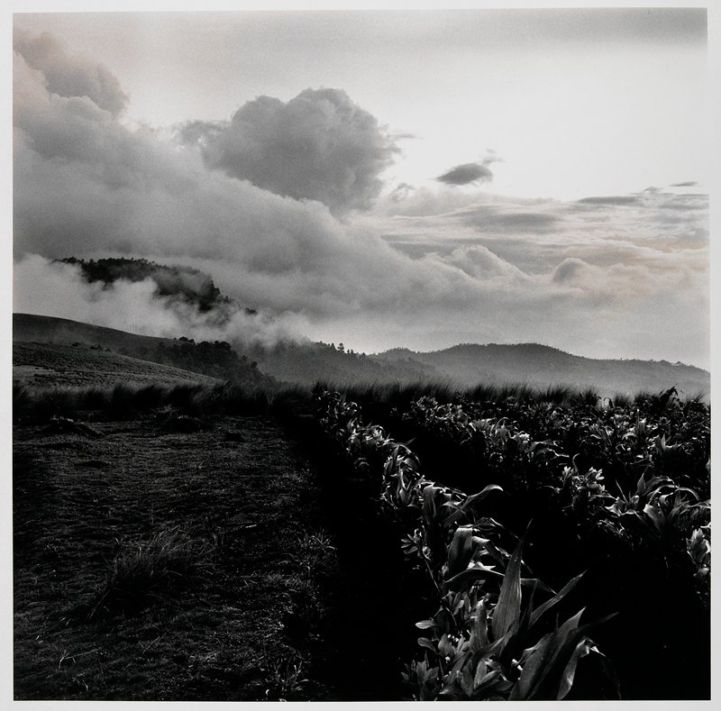 Sierra Panimaquín, Totonicapán, Guatemala, No. 10, Jonathan Moller, 1996