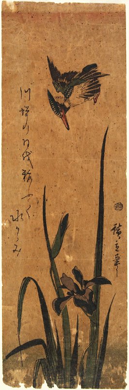 Kingfisher and Iris, Utagawa Hiroshige, 1843