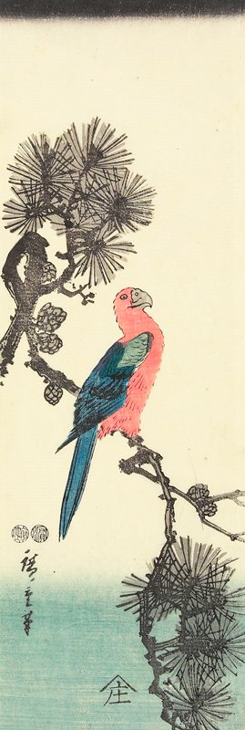 Macaw on Pine Branch, Utagawa Hiroshige, 1847–48