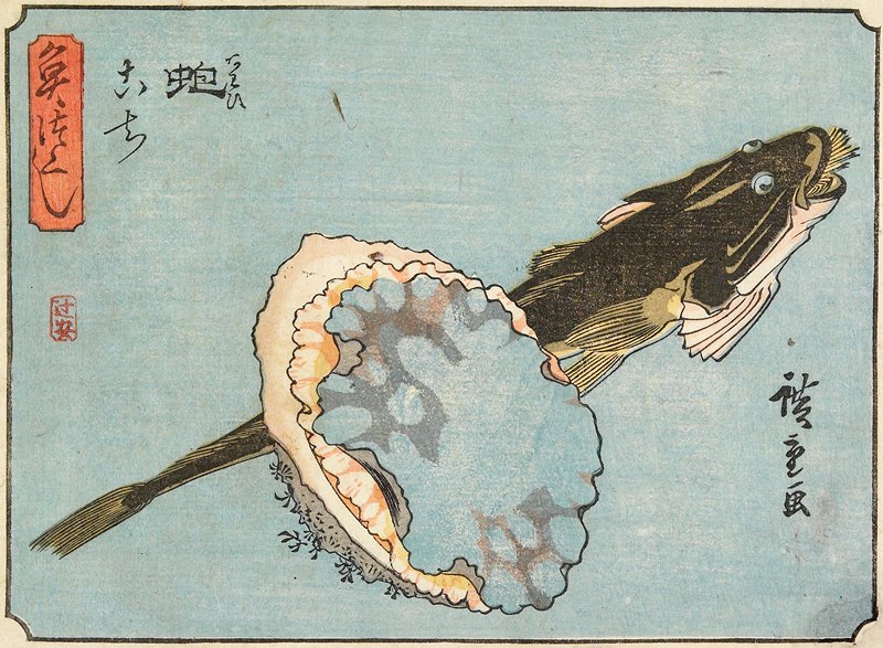 Abalone and Flathead, Utagawa Hiroshige, c. 1835–39