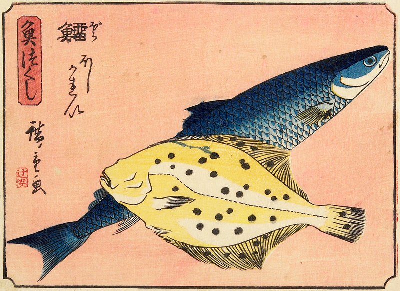 Cod and Halibut, Utagawa Hiroshige, c. 1835–39