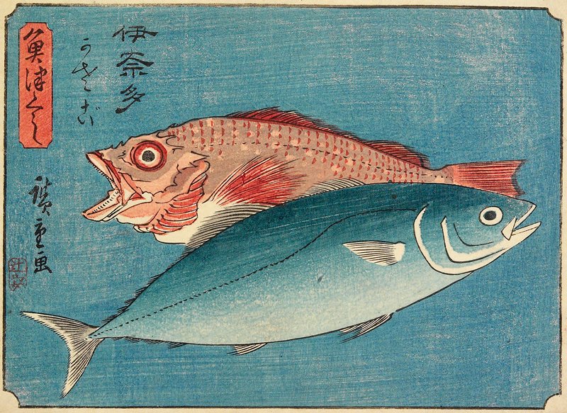 Yellowtail and Rockfish, Utagawa Hiroshige, c. 1835–39