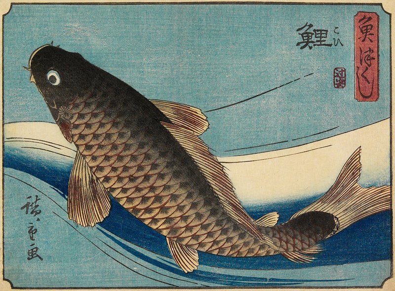 Carp, Utagawa Hiroshige, c. 1835–39
