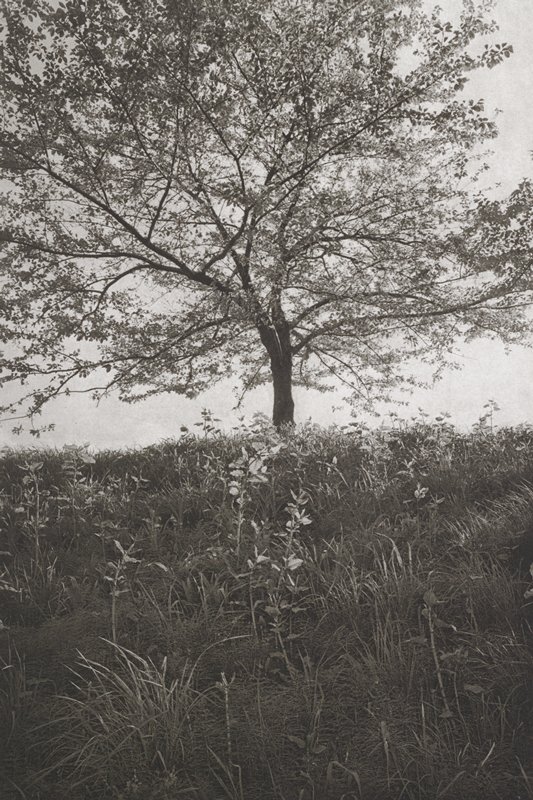Tokyo, Lee Friedlander, 1977