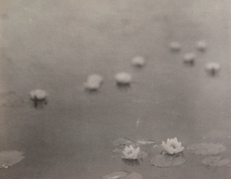 Untitled [Blurred Lilies], William B. Post, 19th-20th century