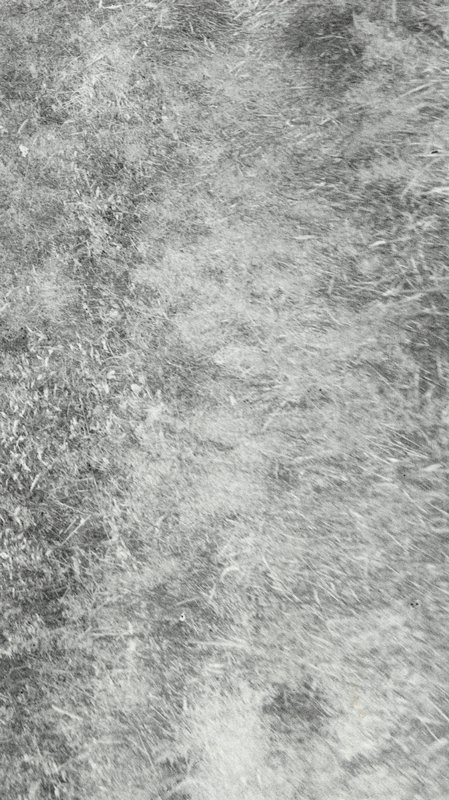 Untitled [Detail of Grass], William B. Post, 19th-20th century