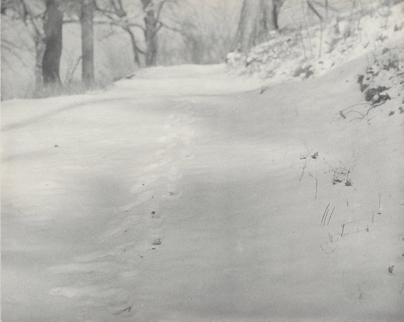 Untitled [Footprints in Snow], William B. Post, 1899