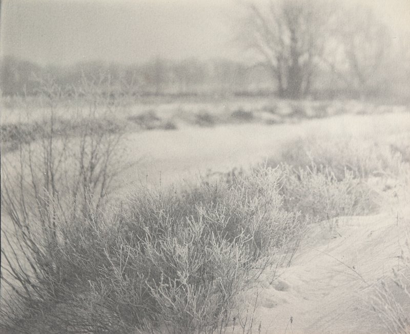 Untitled [Snow and Grasses], William B. Post, 19th-20th century