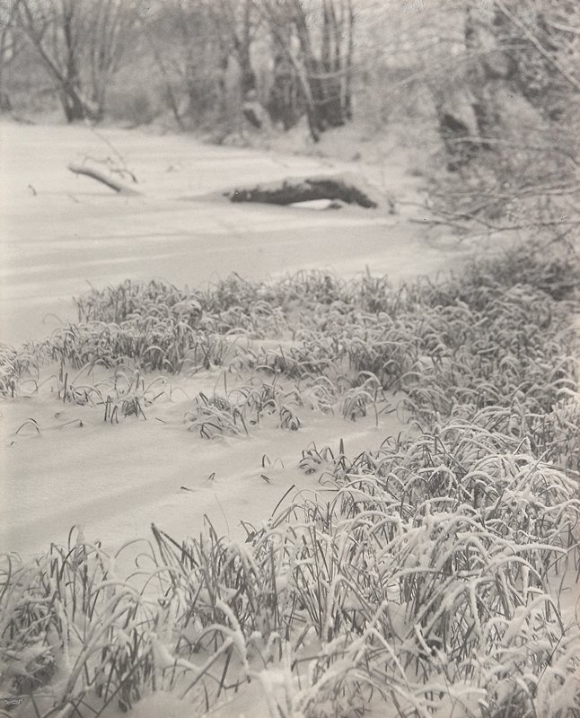 Untitled [Snowy Grass], William B. Post, 19th-20th century