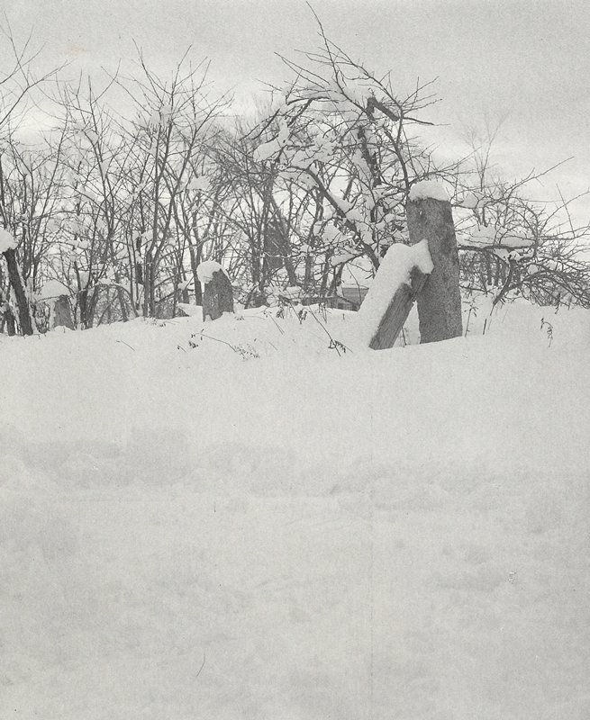 Untitled [Granite Fence Posts in Snow], William B. Post, 19th-20th century
