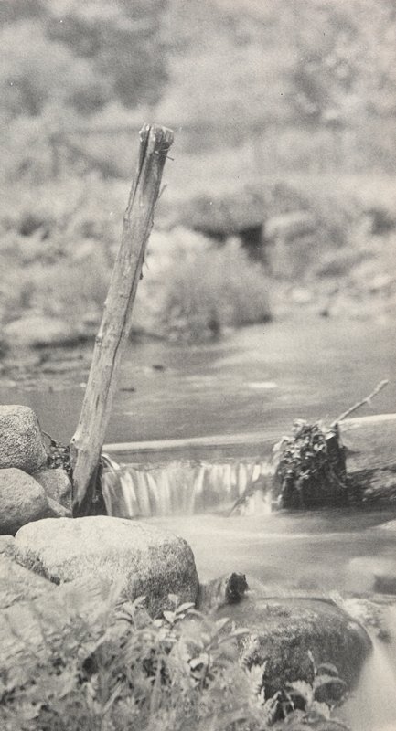 Untitled [Branch Between Rocks at Edge of Brook], William B. Post, c. 1900