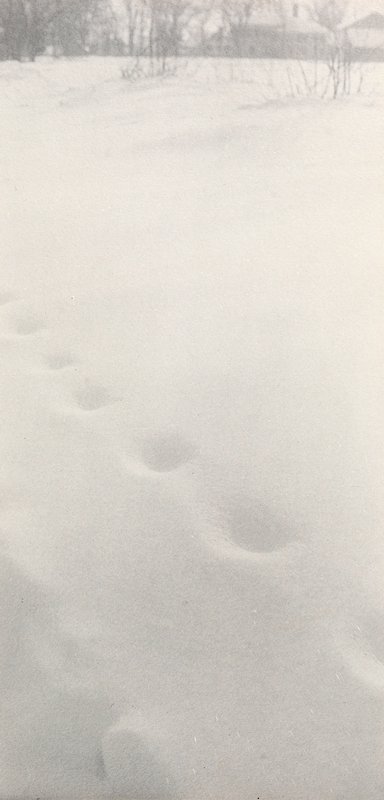 Untitled [Wind-Blown Footprints], William B. Post, 19th-20th century