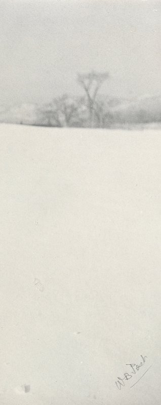Untitled [Trees in Distance], William B. Post, 19th-20th century