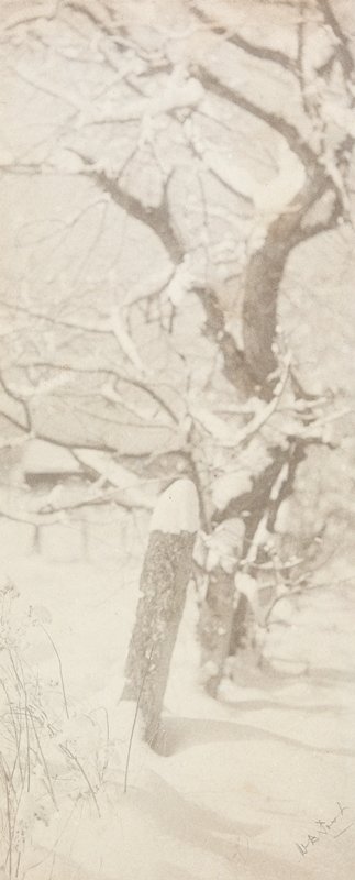 Untitled [Fence Posts in Snow], William B. Post, 19th-20th century