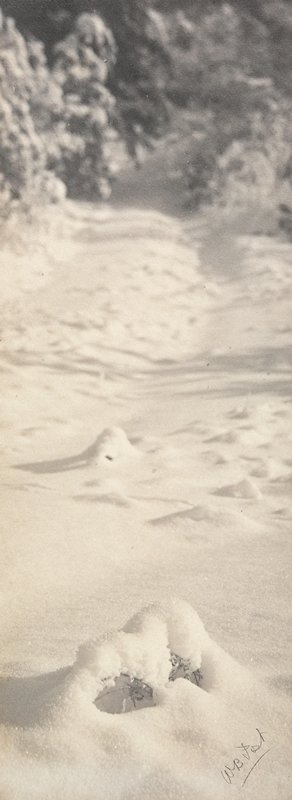 Untitled [Snow on Road], William B. Post, 19th-20th century