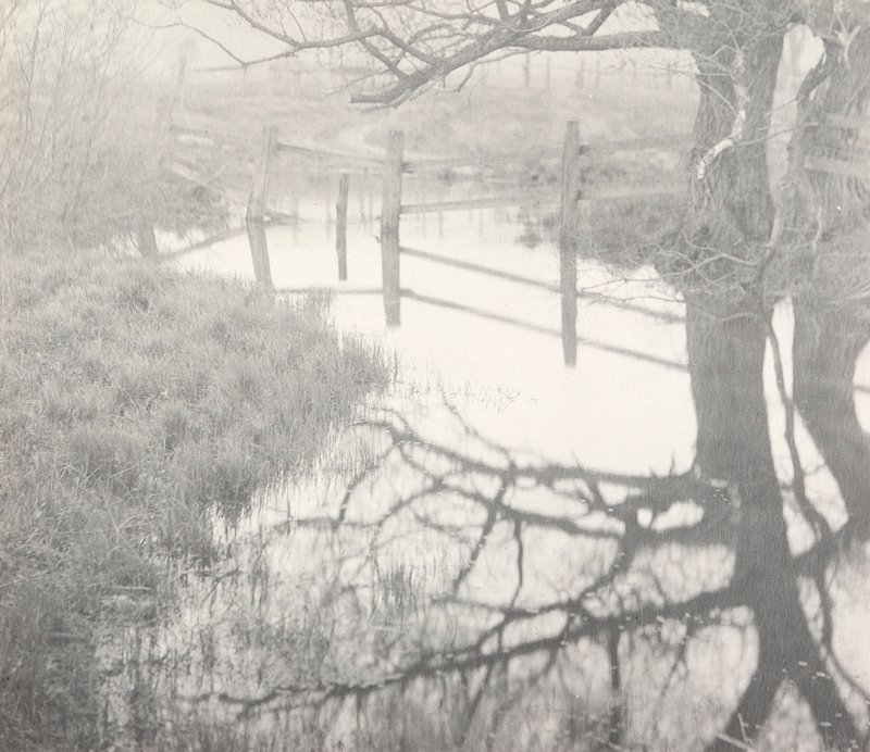 Untitled [Tree and Fence Reflected], William B. Post, c. 1900