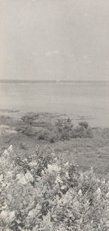 Untitled [Coastal Landscape], William B. Post, 19th-20th century