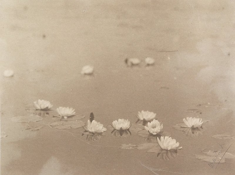 Study of Lilies, William B. Post, c. 1915