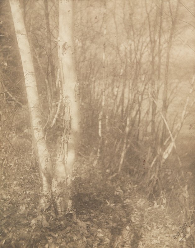 Forest Edge, William B. Post, 19th-20th century