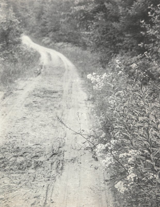 Untitled [Winding Road and Wild Aster], William B. Post, 19th-20th century