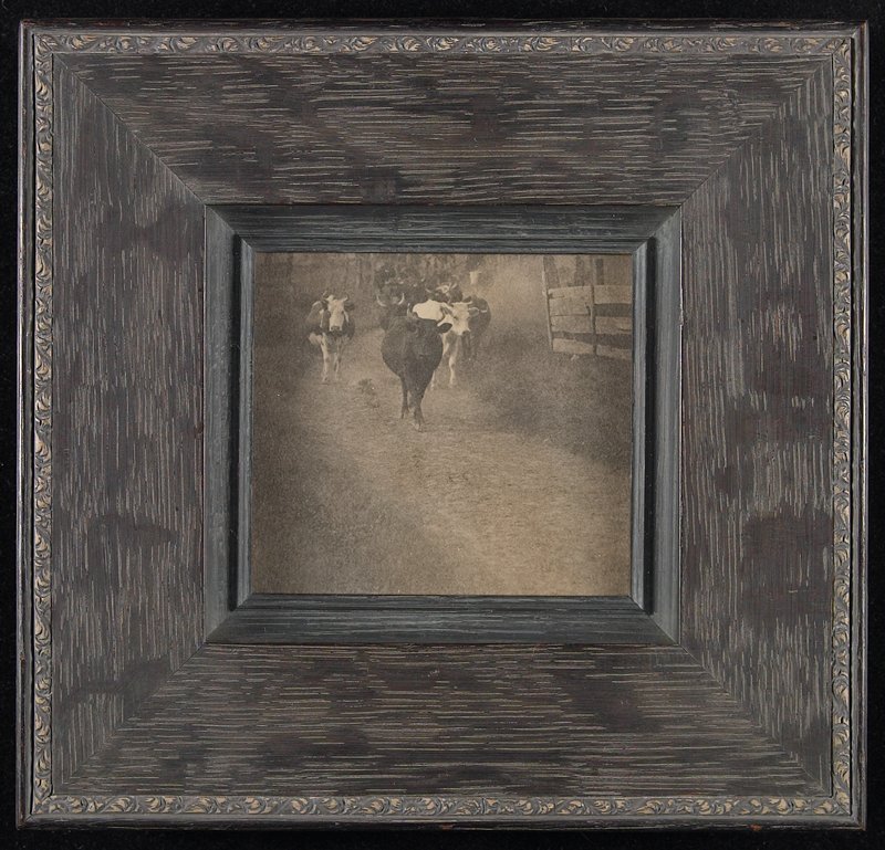 Untitled [Cows on Path], William B. Post, 19th-20th century