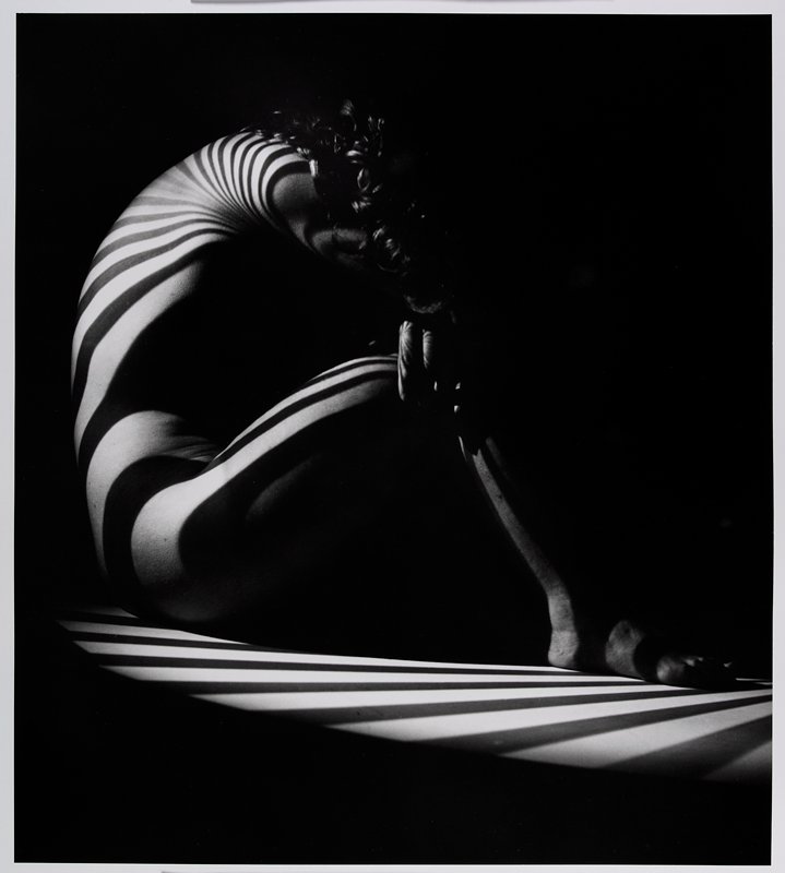 Nude (Zebra), Zürich, Switzerland, Werner Bischof, c. 1942