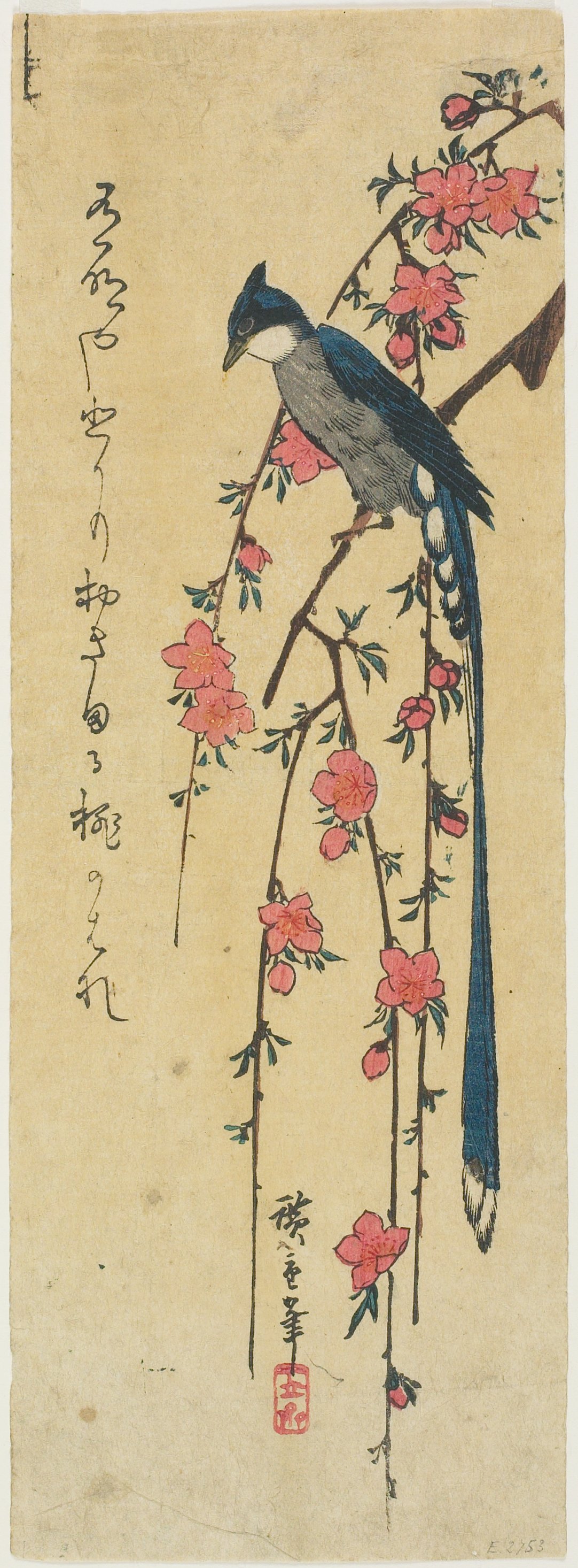 Long-tailed Bird on Blossoming Peach, Utagawa Hiroshige | Mia