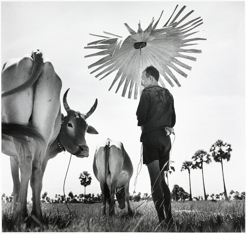 Farmer with Umbrella, Cambodia, Werner Bischof, 1952