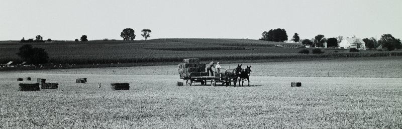 Haywagon, George A. Tice, 1961