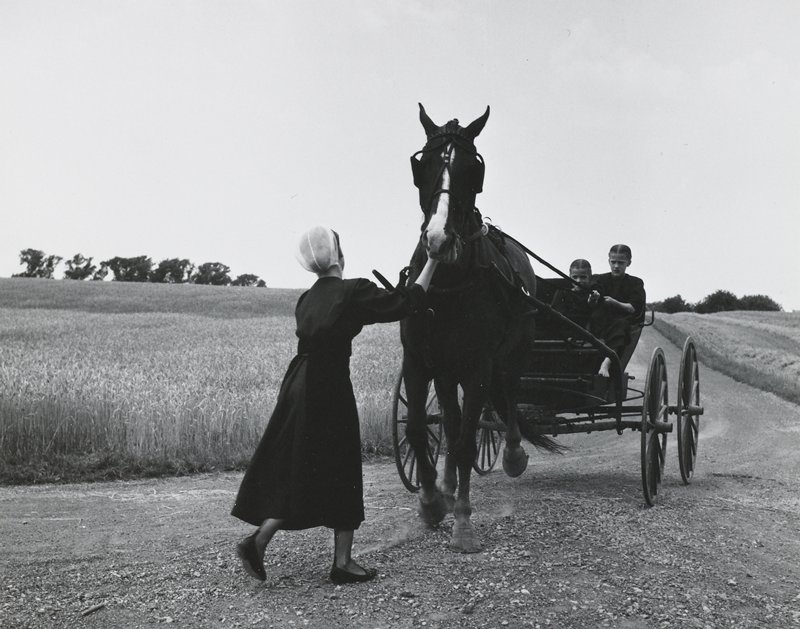 Three Amish Girls, George A. Tice, 1963