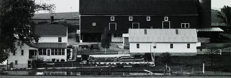 Horse and Buggy in Farmyard, George A. Tice, 1965