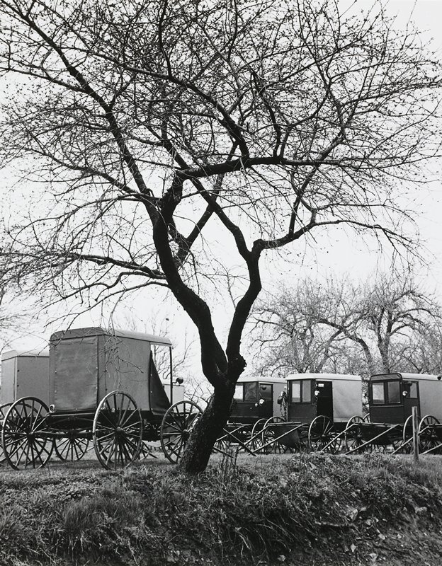 Buggies, Sunday Meeting, George A. Tice, 1966