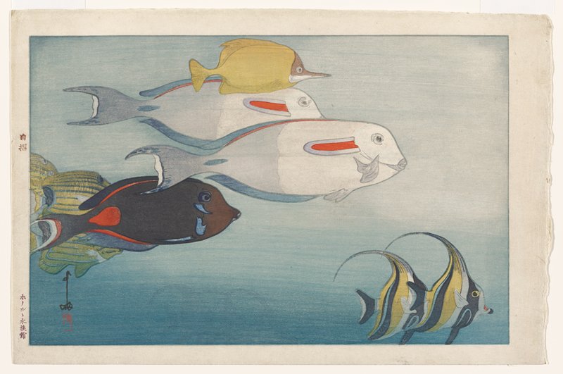 Honolulu Aquarium, Yoshida Hiroshi, 1925