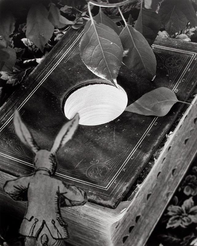 Down the Rabbit Hole, Abelardo Morell, 1998