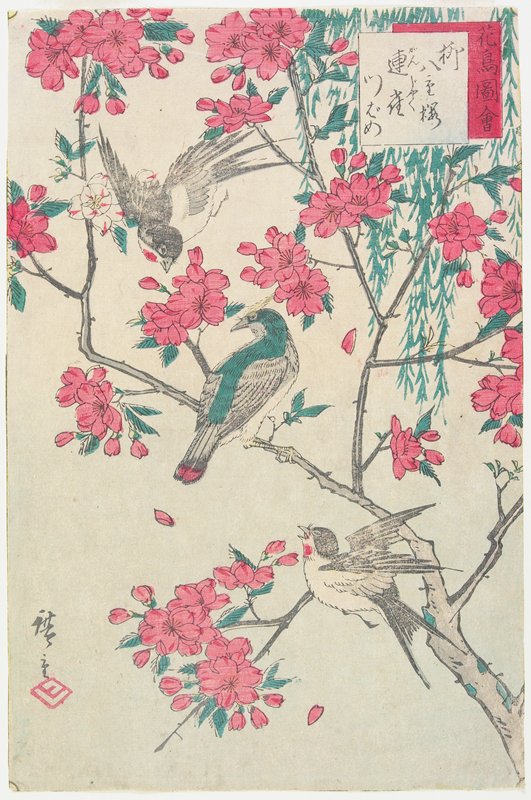 Willow, Cherry Blossoms, Sparrows and Swallow, Utagawa Hiroshige III, 1870s