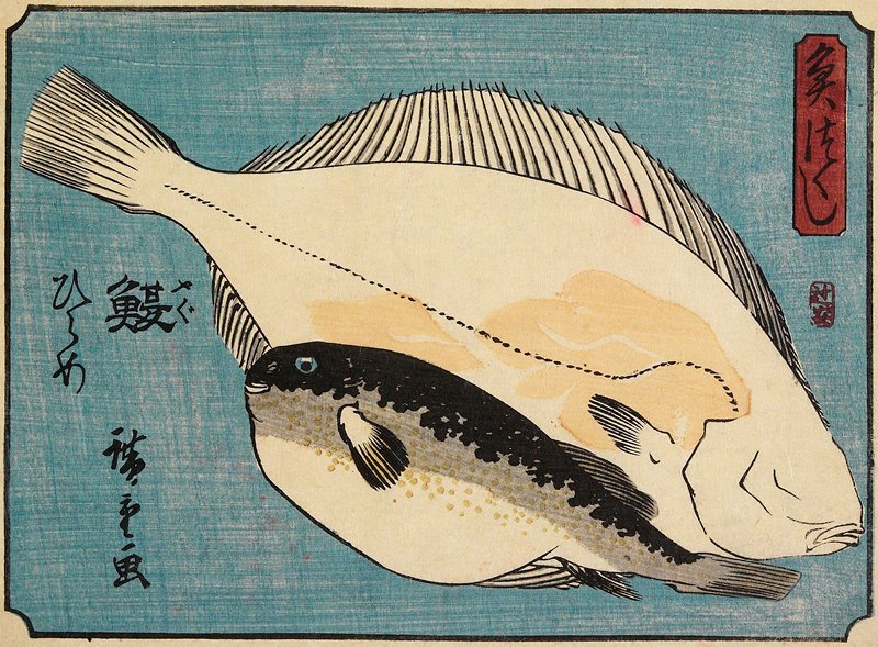 Globefish and Flounder, Utagawa Hiroshige, c. 1835–39