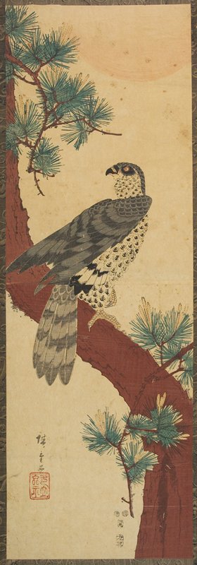 Falcon, Pine, and Sun, Utagawa Hiroshige, 1853, 9th month