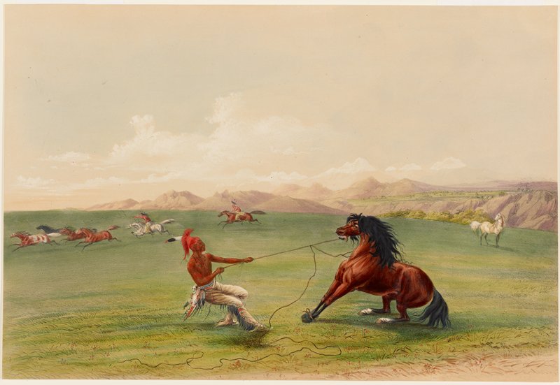 Catching the Wild Horse, George Catlin, 1844