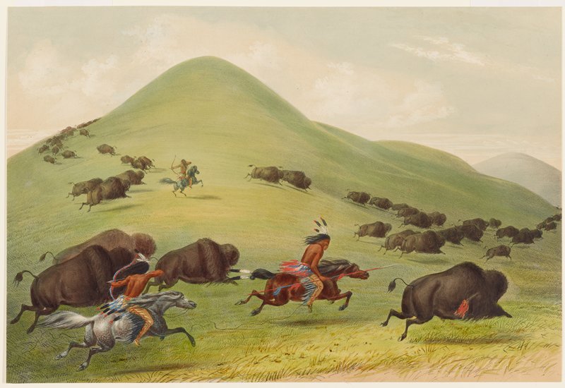 Buffalo Hunt: Chase, George Catlin, 1844