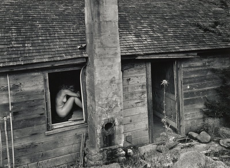 Woman and Thistle, Wynn Bullock, 1953