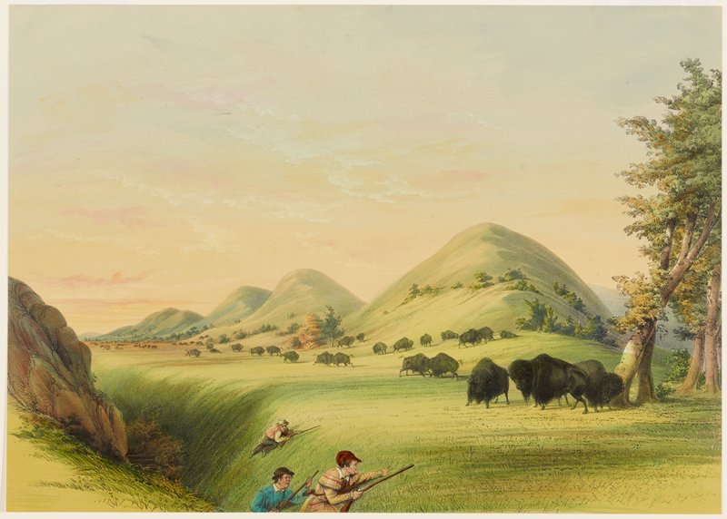 Buffaol Hunt, Approaching in a Ravine, George Catlin, 1844