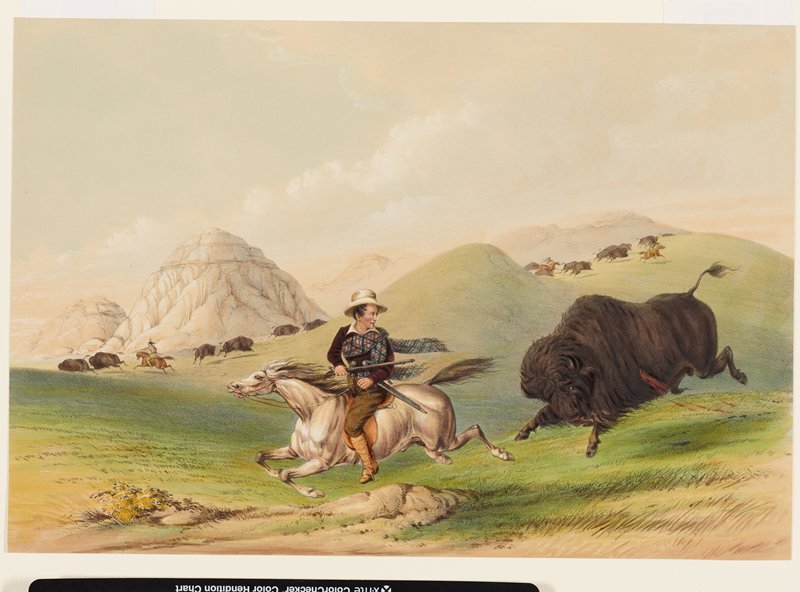 Buffalo Hunt, Chasing back, George Catlin, 1844