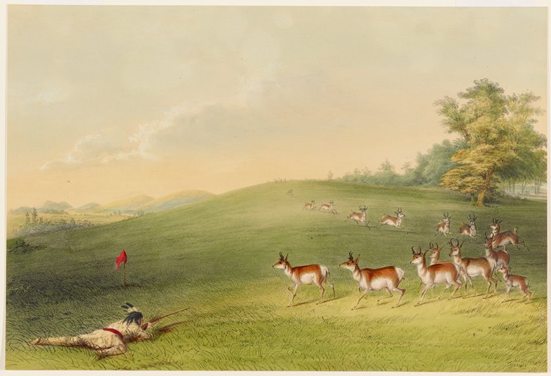 Antelope Shooting, George Catlin, 1844