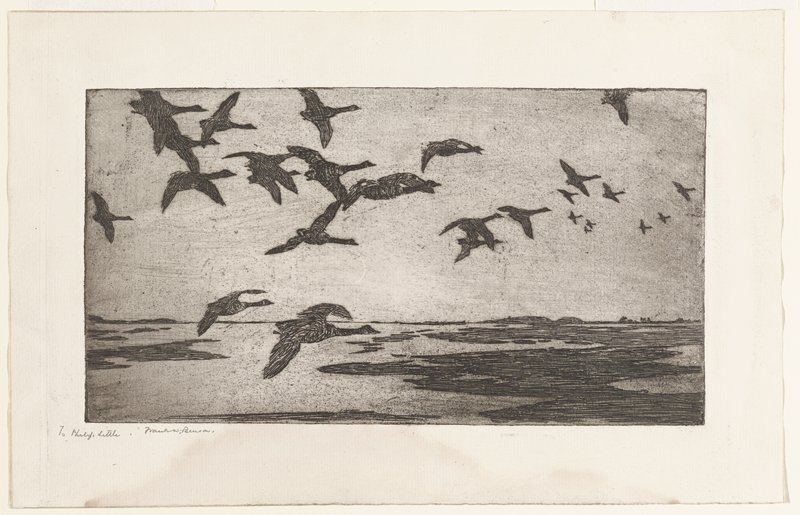 Ducks, Frank Weston Benson, 19th-20th century
