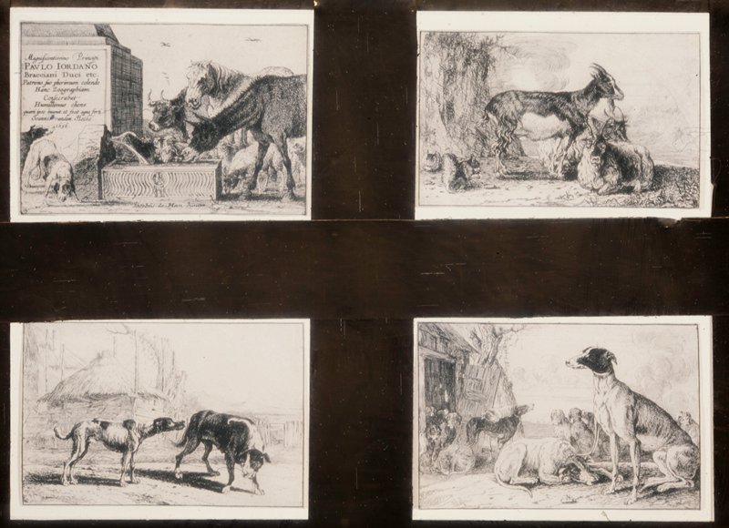 Titre, Jan Van den Hecke, 17th Century
