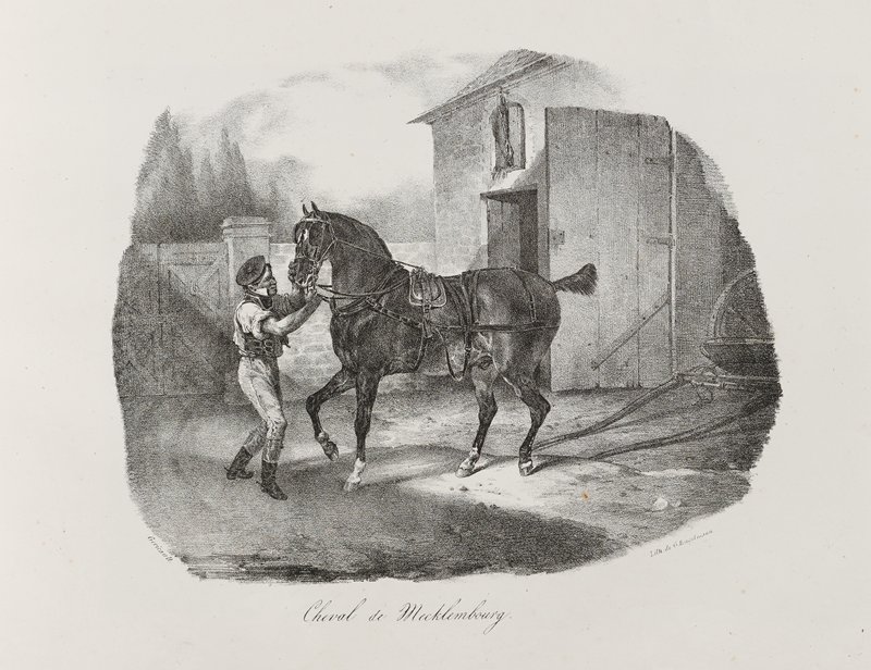 Cheval de Mecklembourg, Теодор Жерико, 1822