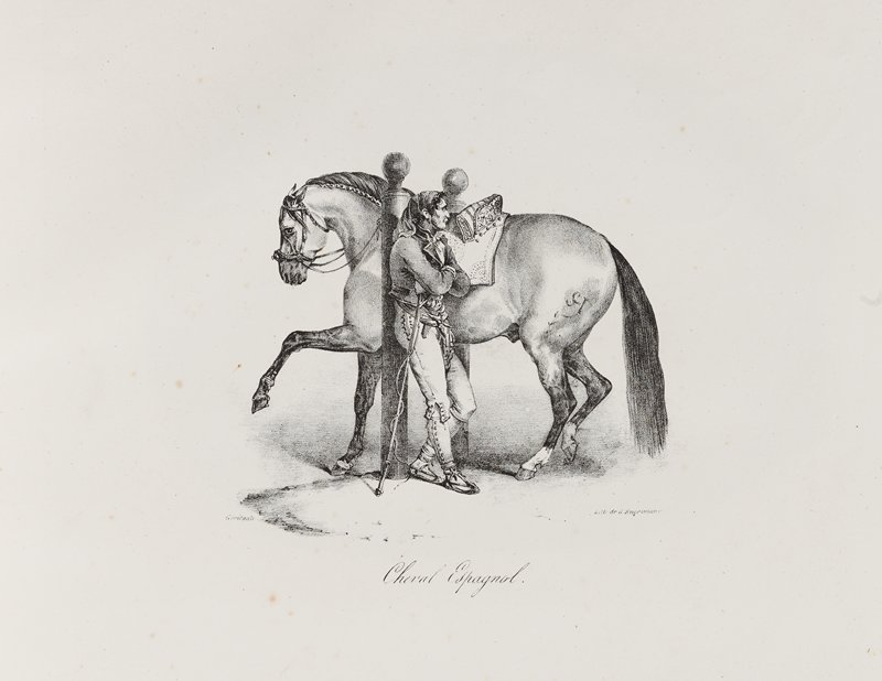 Cheval Espagnol, Теодор Жерико, 1822