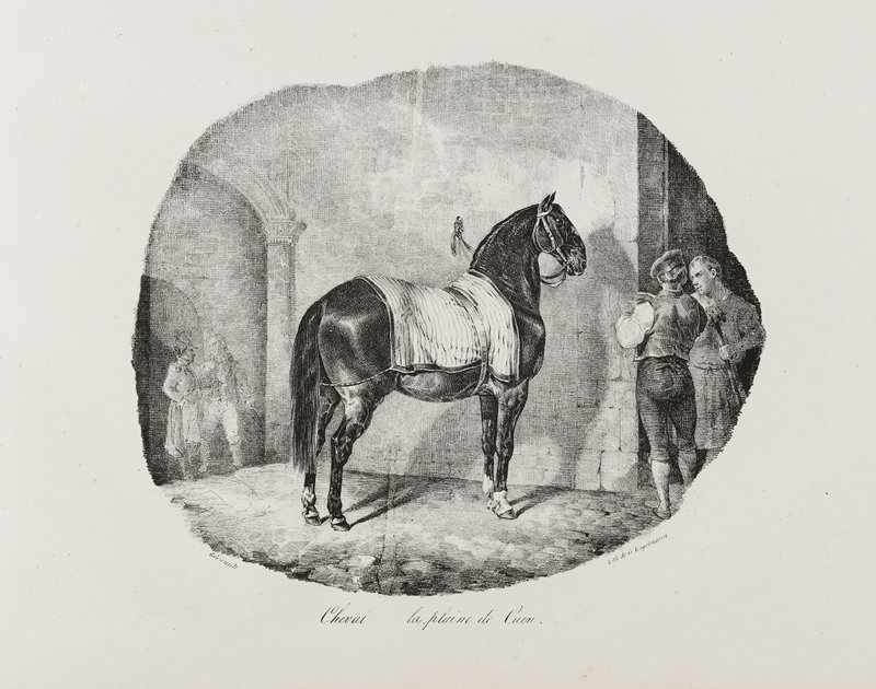 Cheval de la Plaine de Caen, Теодор Жерико, 1822