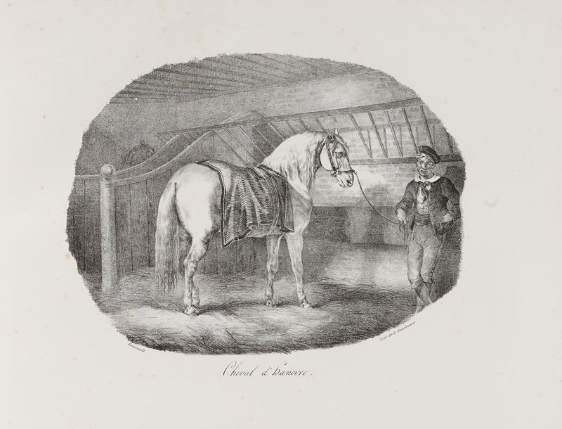 Cheval D'Hanovre, Теодор Жерико, 1822